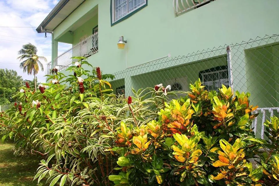 Little Flower Guesthouse Bon Accord Village Trinidad And Tobago